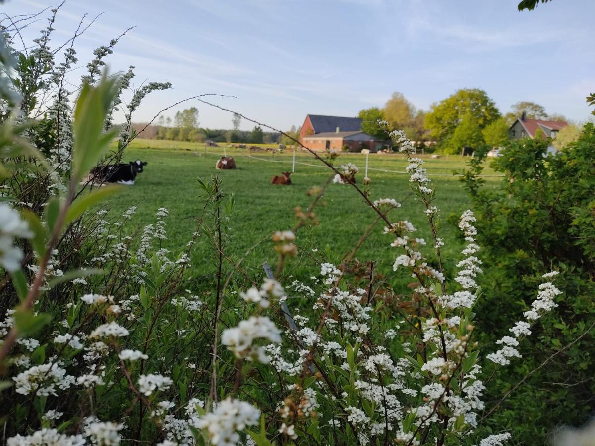 Cosyplace; Close To Beach, Nature, Train, Grocery Kopingebro エクステリア 写真